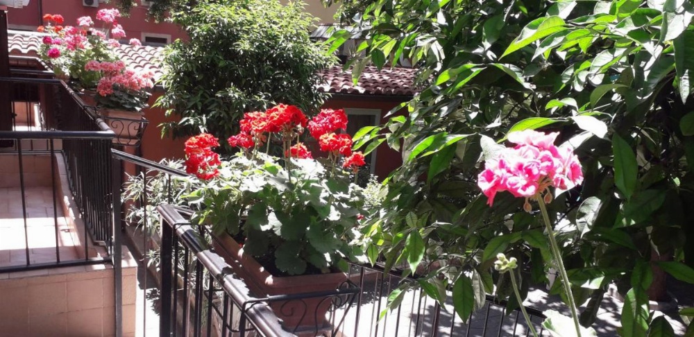 Gioia Guest House Image 11