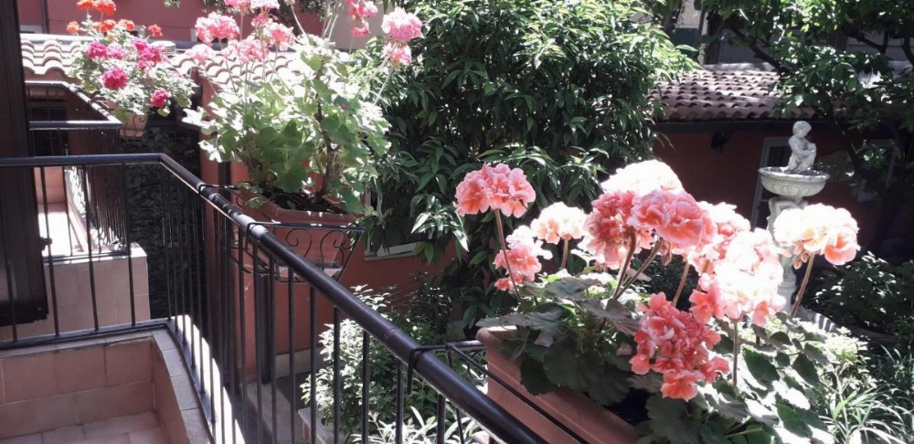 Gioia Guest House Image 50