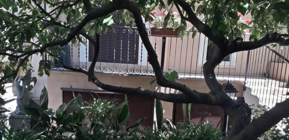 Gioia Guest House Image 7